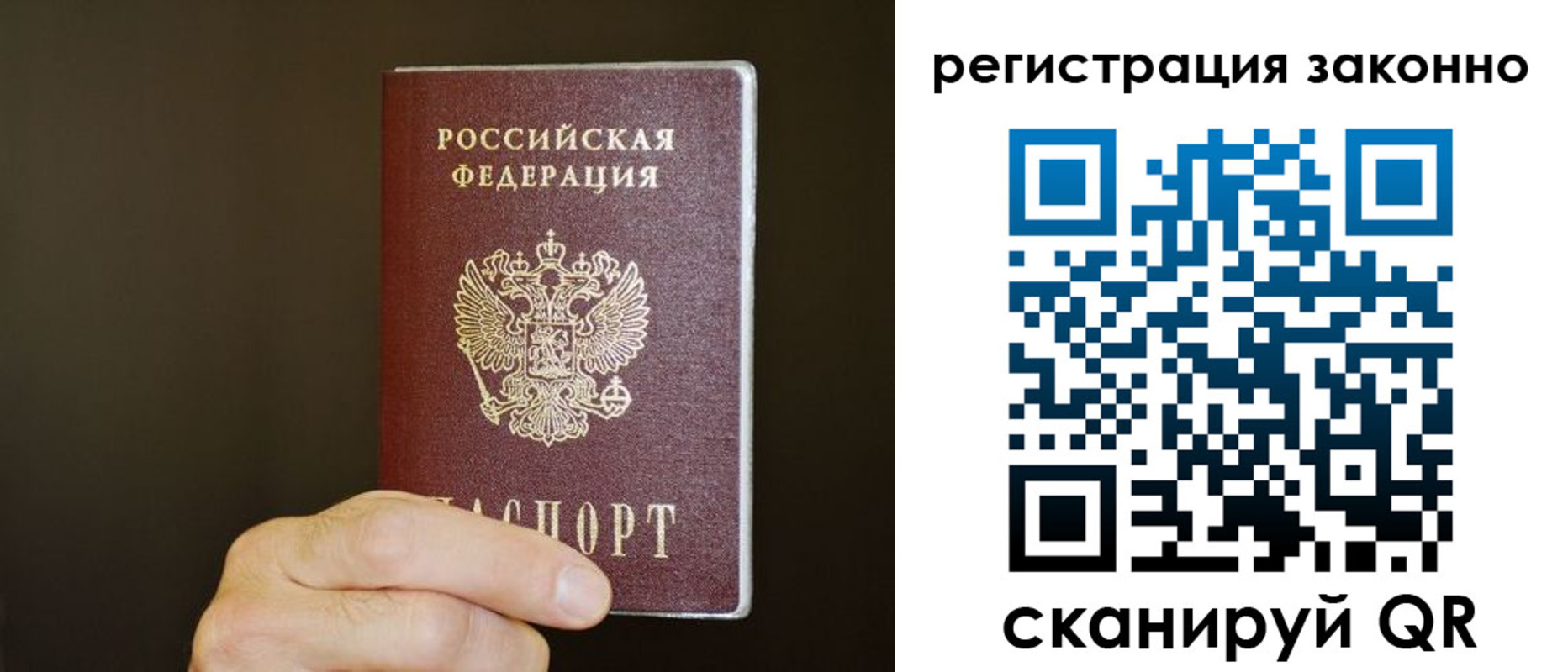 прописка гарантия в Тамбове